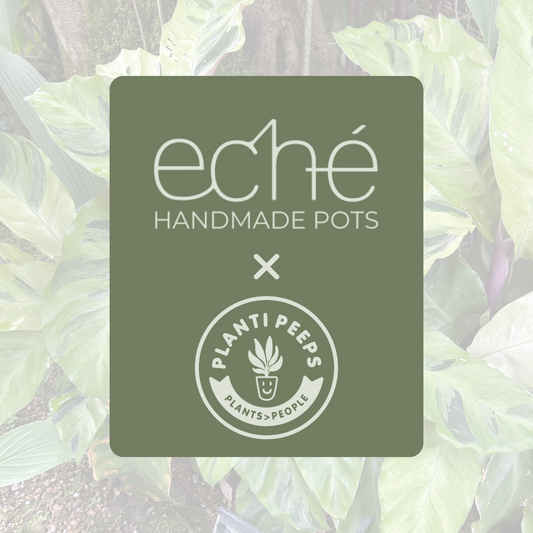 Shop our best-sellers now at Eché Handmade Pots!