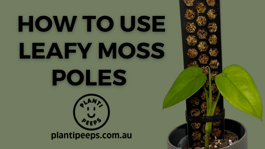 How to use Leafy Moss Poles