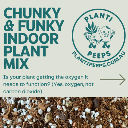 Chunky & Funky Indoor Plant Mix