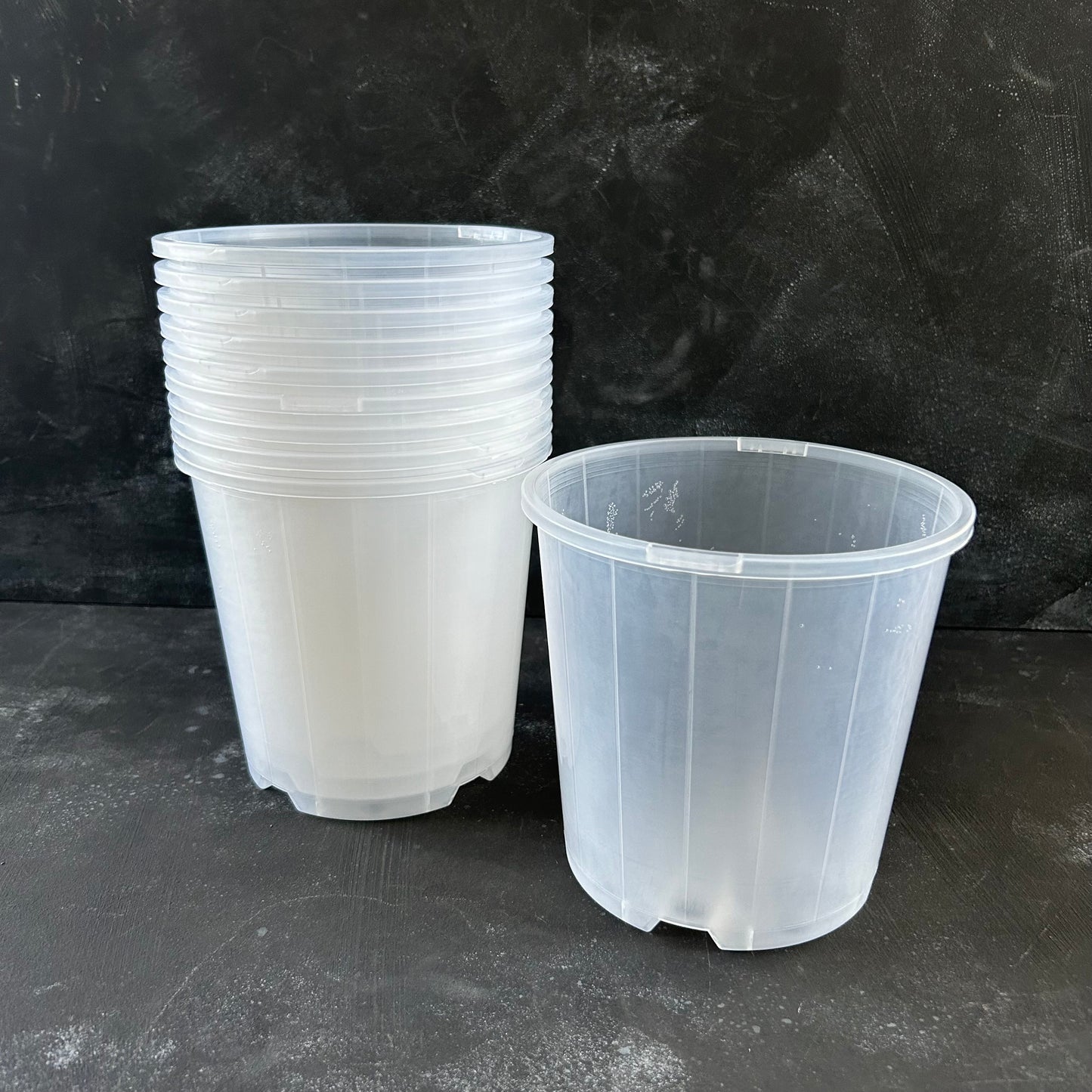 Clear Nursery Pot - 150mm