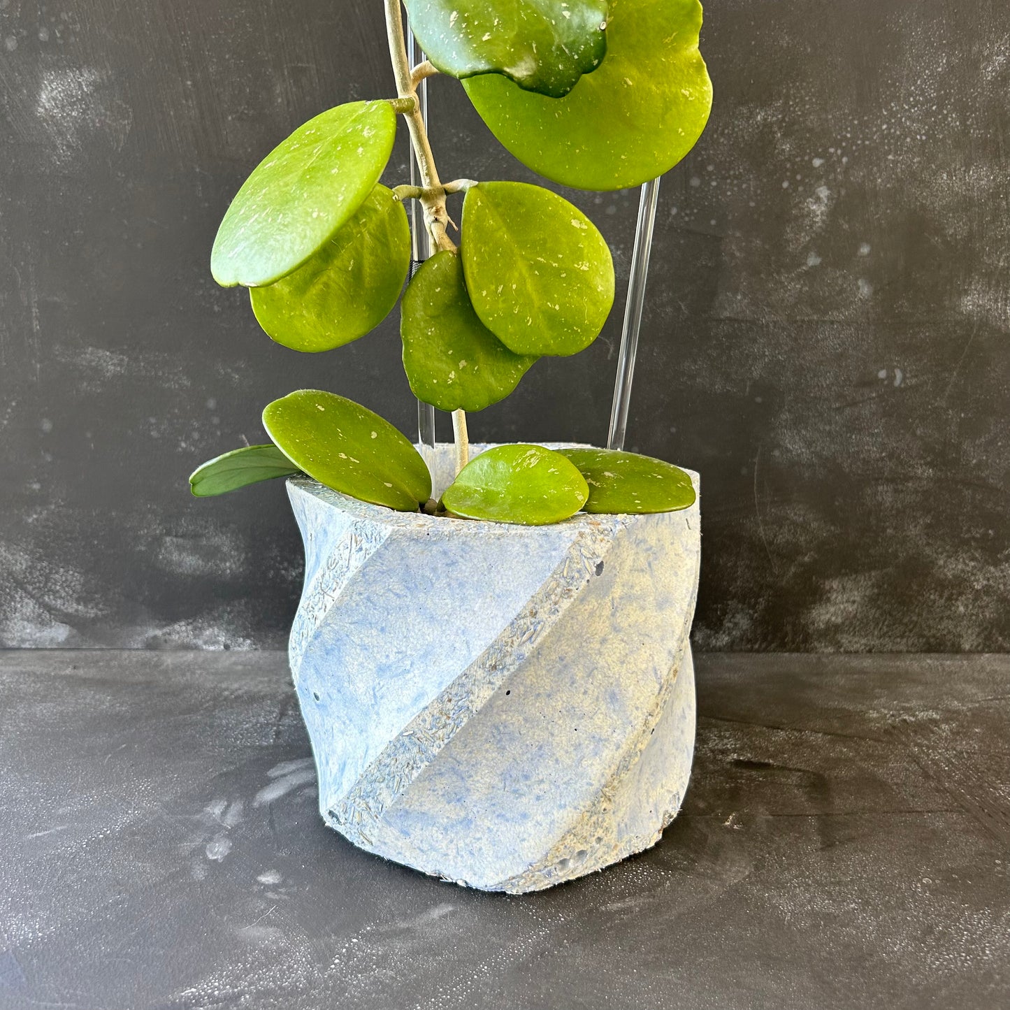 Handmade Pot - Medium Swirl