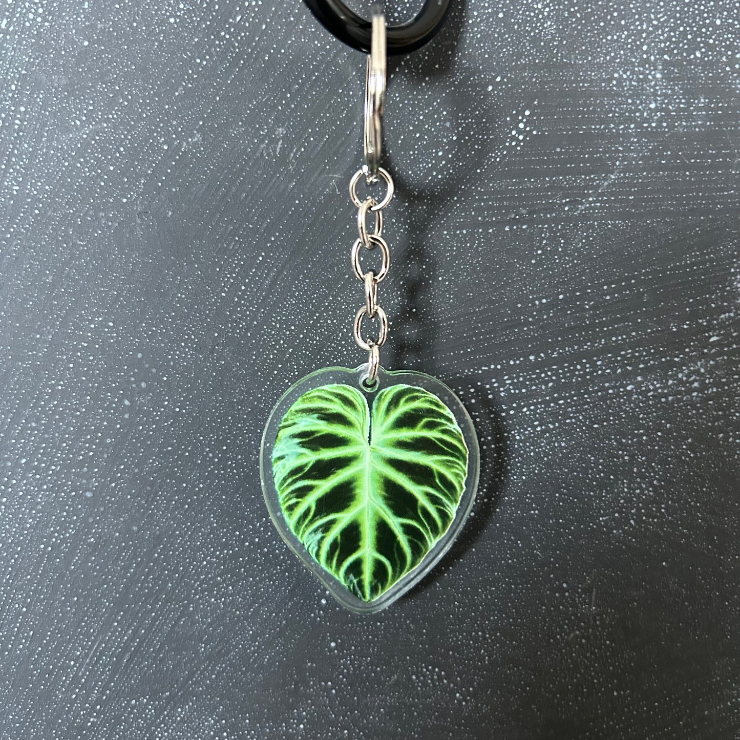 Planti Leaf Keychains - Acrylic