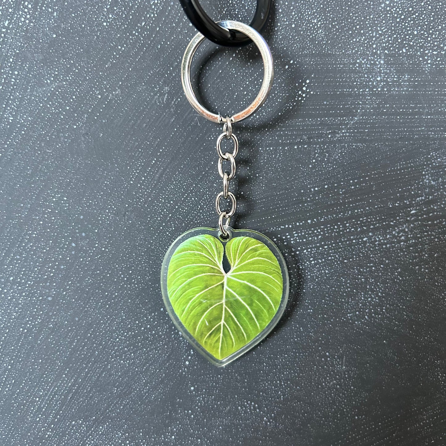 Planti Leaf Keychains - Acrylic