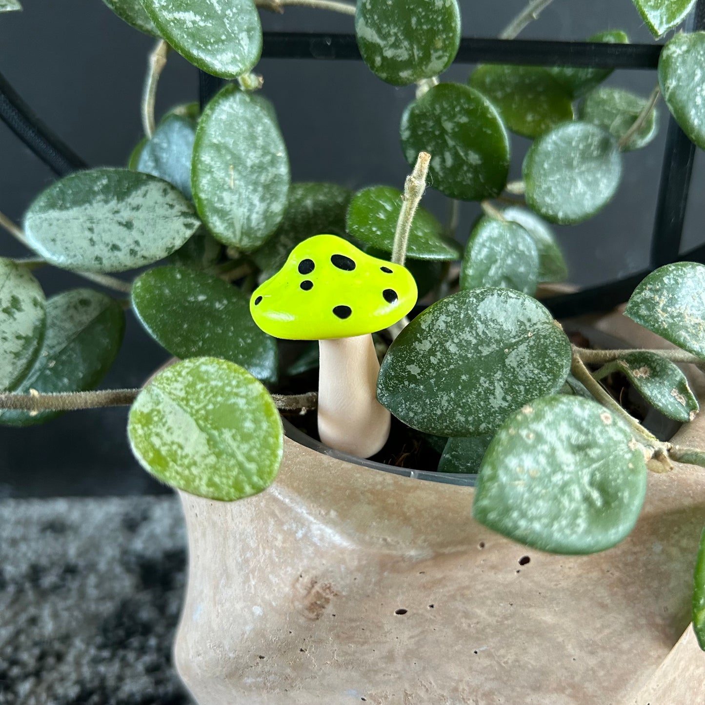 Planti Pot Peep - Shroomie (Solid Colour)