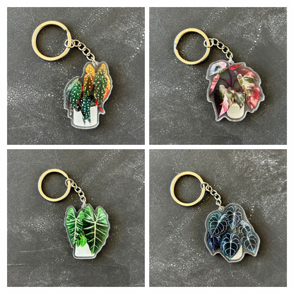 Potted Plant Keychains