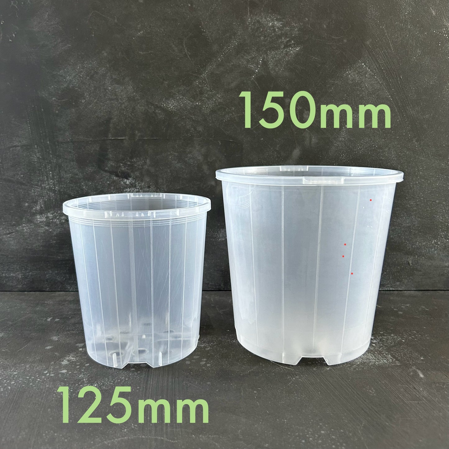 Clear Nursery Pot - 150mm