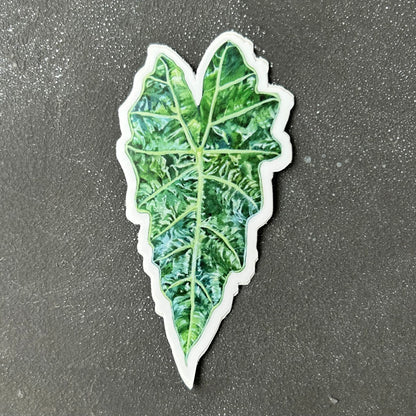 Plant Stickers by Arina Baeva