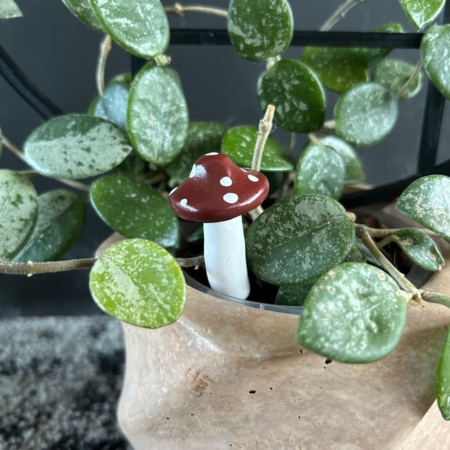 Planti Pot Peep - Shroomie (Solid Colour)