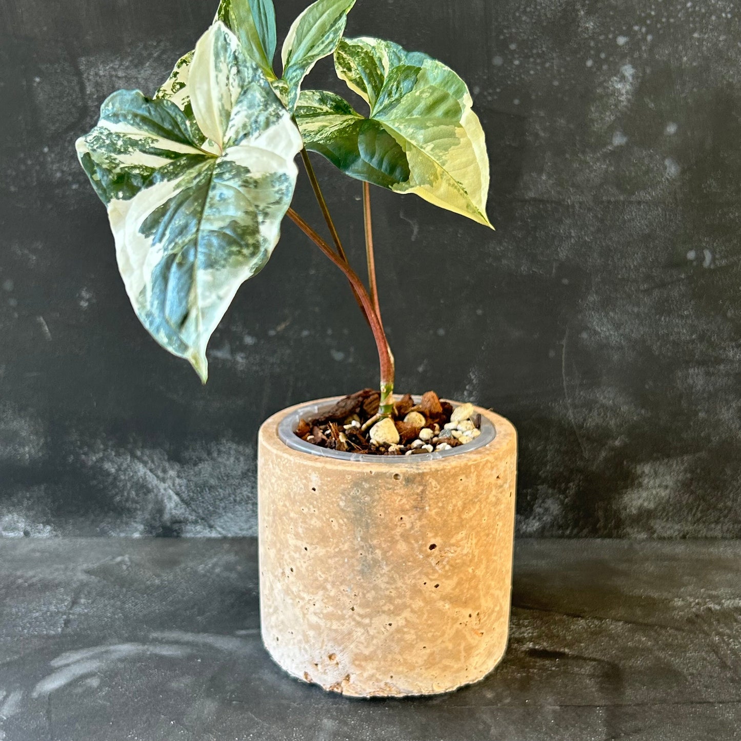 Handmade Pot - Small Cylinder