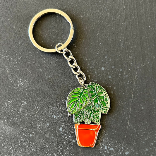 Planti Keychain - Alocasia Baginda