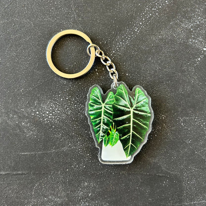 Potted Plant Keychains