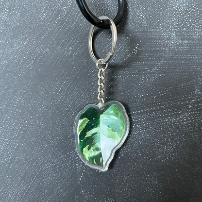 Planti Leaf Keychains - Acrylic