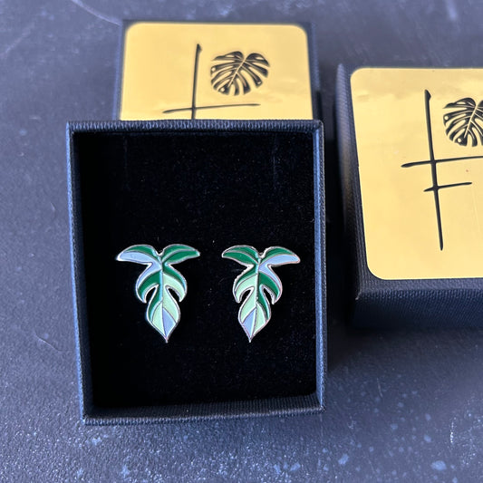 Philodendron Florida Ghost Stud Earrings