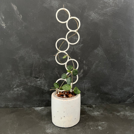 Bubble Trellis - 39cm