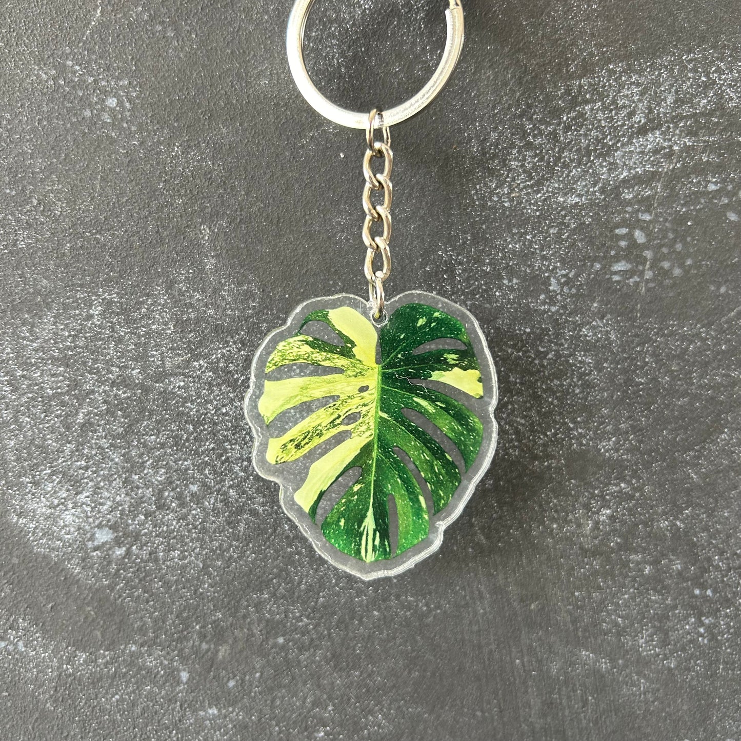 Planti Leaf Keychains - Acrylic