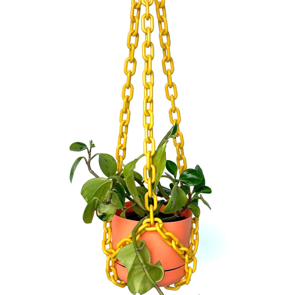 Plant Hangers by Woljam Studios