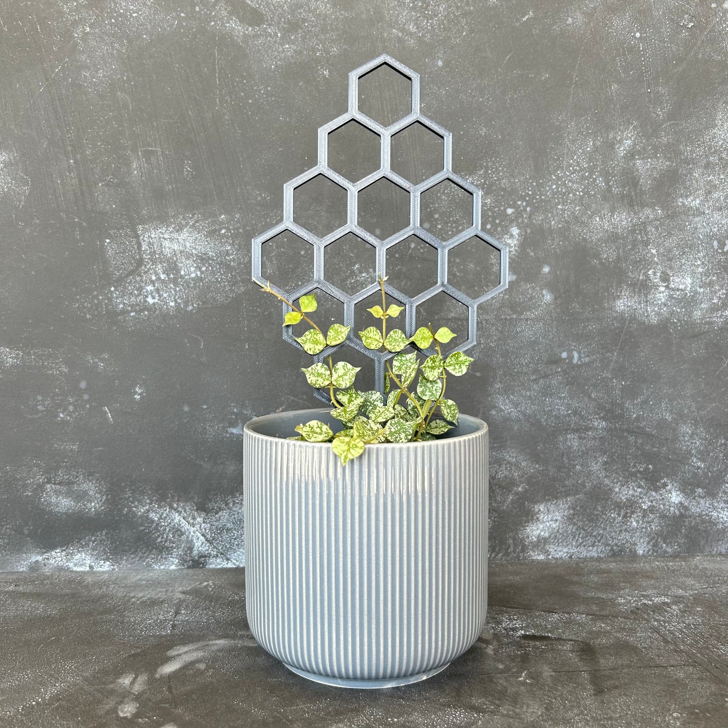 Honeycomb Diamond Trellis - 30cm