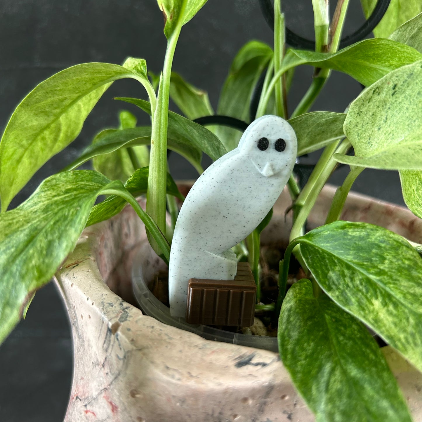 Belco Owl Pot Peep