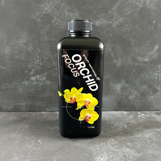 Orchid Focus by Growth Technology