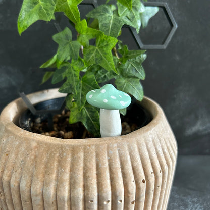 Planti Pot Peep - Shroomie (Solid Colour)