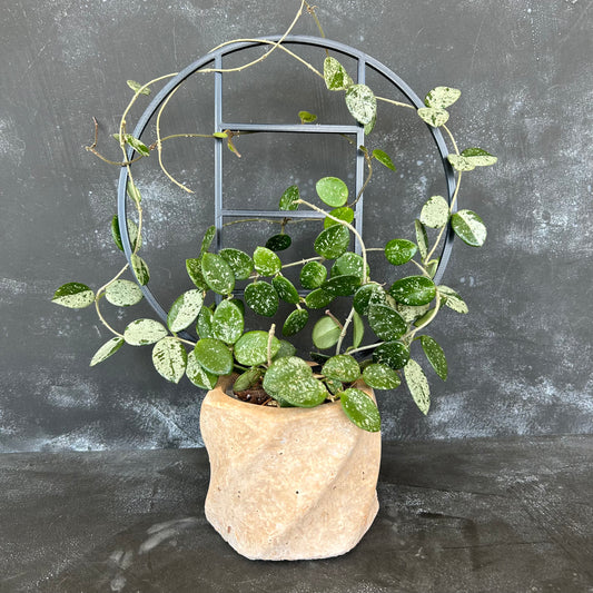 Circular Trellis - 32cm