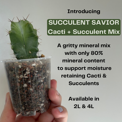 Succulent Savior - Cacti & Succulent Mix