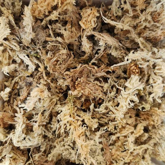 Sphagnum Moss - Gold Grade