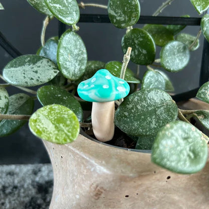 Planti Pot Peep - Shroomie (Swirled Colours)