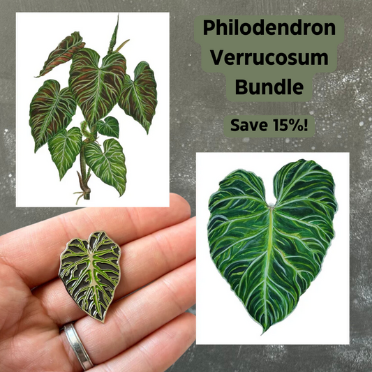 Philodendron Verrucosum Gift Bundle