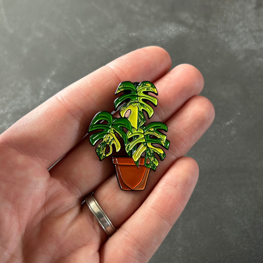 Planti Pin - Monstera Aurea