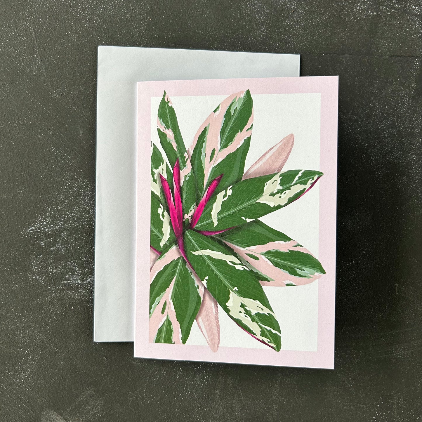 Planti Greeting Cards - Blank