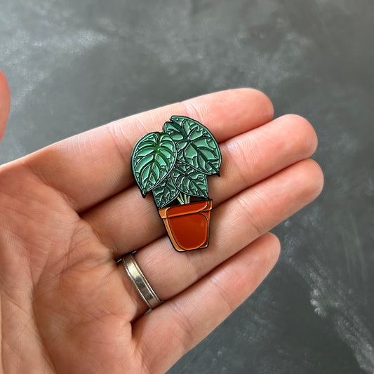 Alocasia Silver Dragon in a terracotta pot enamel pin shown in hand for size