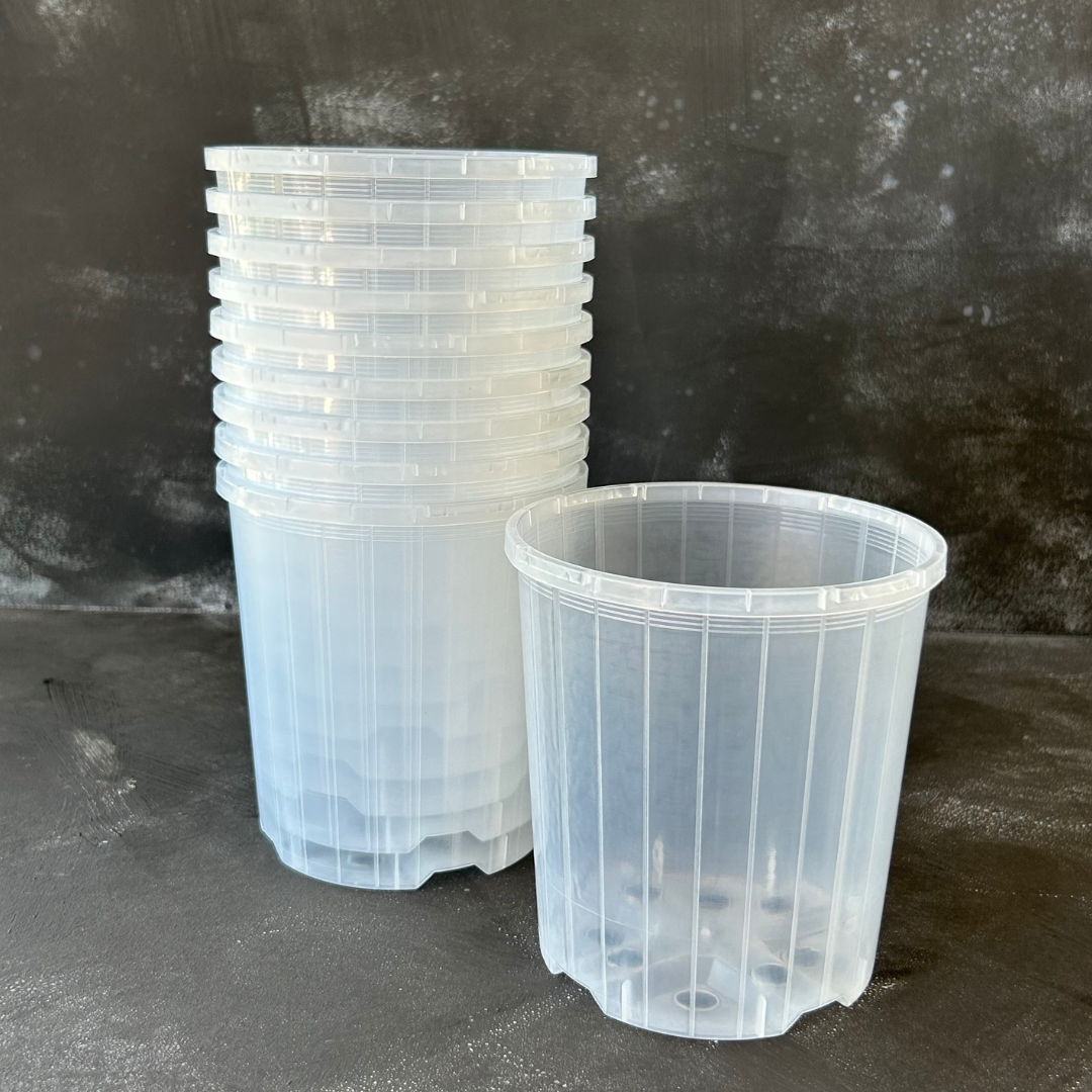 10 pack of 125mm Clear Nursery Pot for Indoor Plants like Aroids, Orchids, and Succulents.