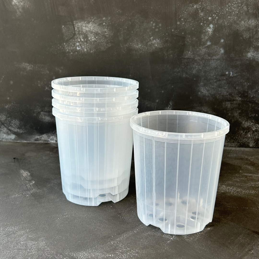 5 pack of 125mm Clear Nursery Pot for Indoor Plants like Aroids, Orchids, and Succulents.