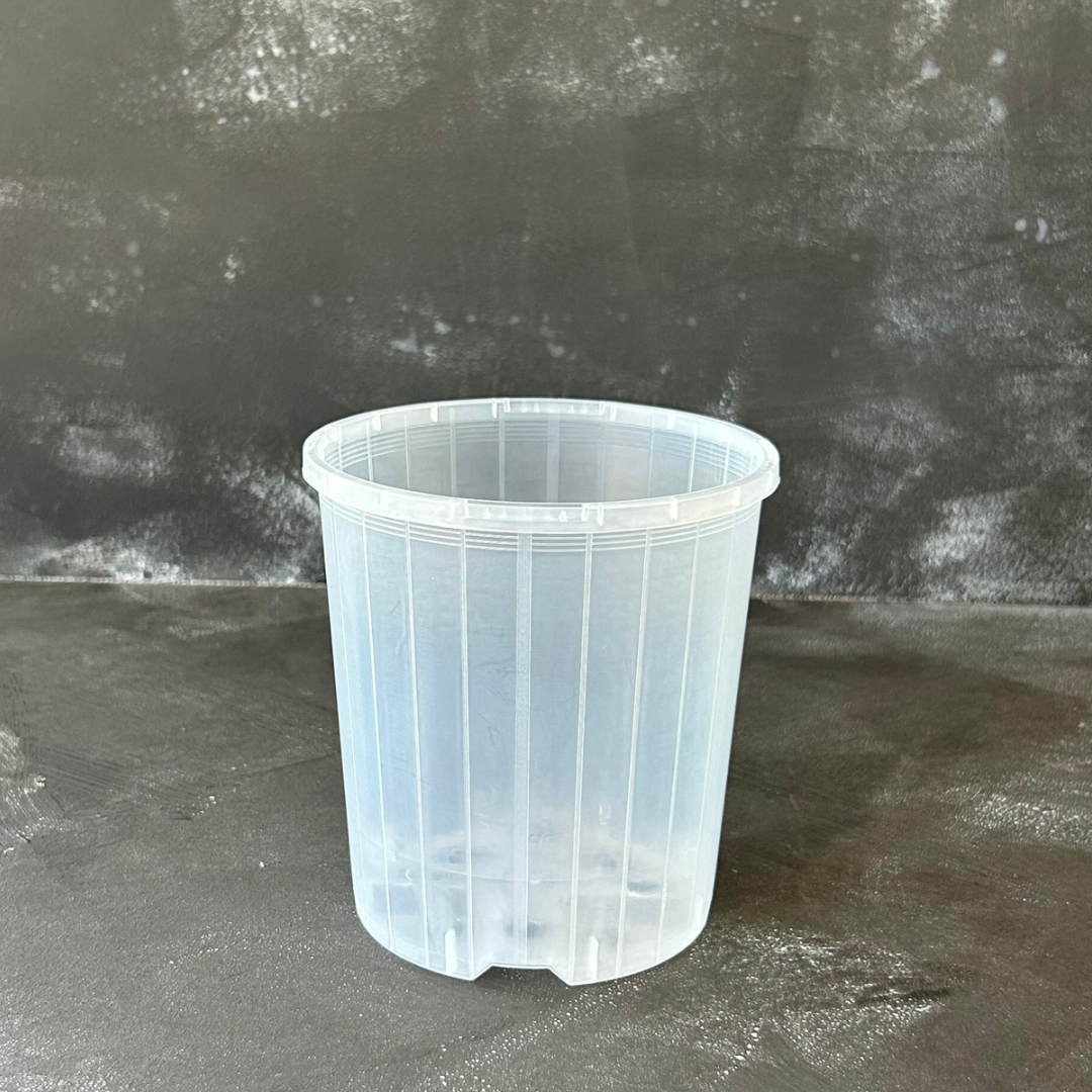 125mm Clear Nursery Pot for Indoor Plants like Aroids, Orchids, and Succulents.