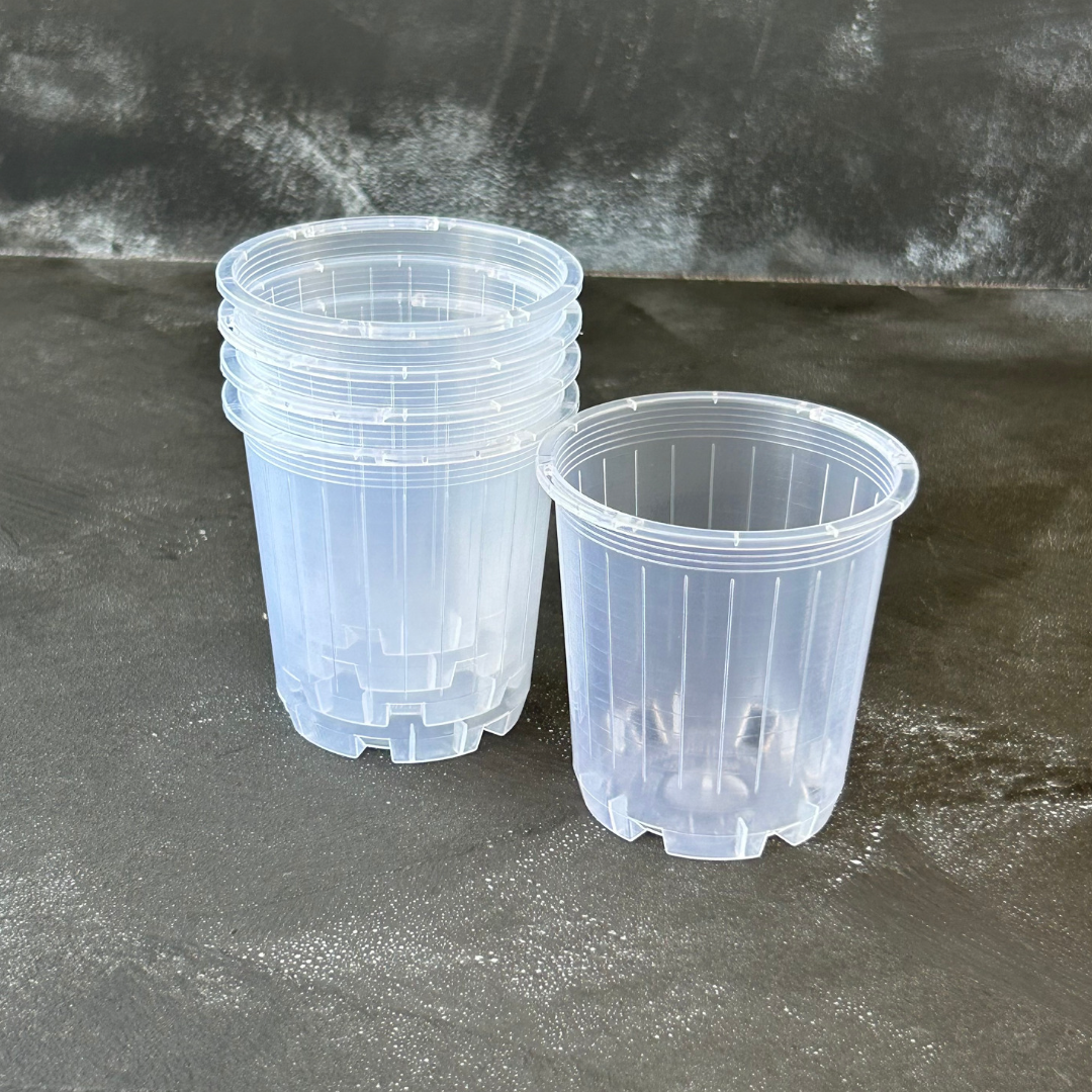 5 pack of 70mm Clear Nursery Pot for Indoor Plants like Aroids, Orchids, and Succulents.