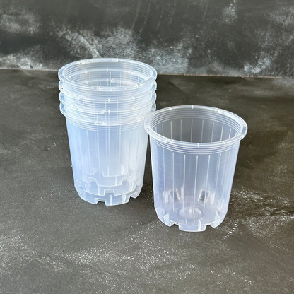 5 pack of 70mm Clear Nursery Pot for Indoor Plants like Aroids, Orchids, and Succulents.