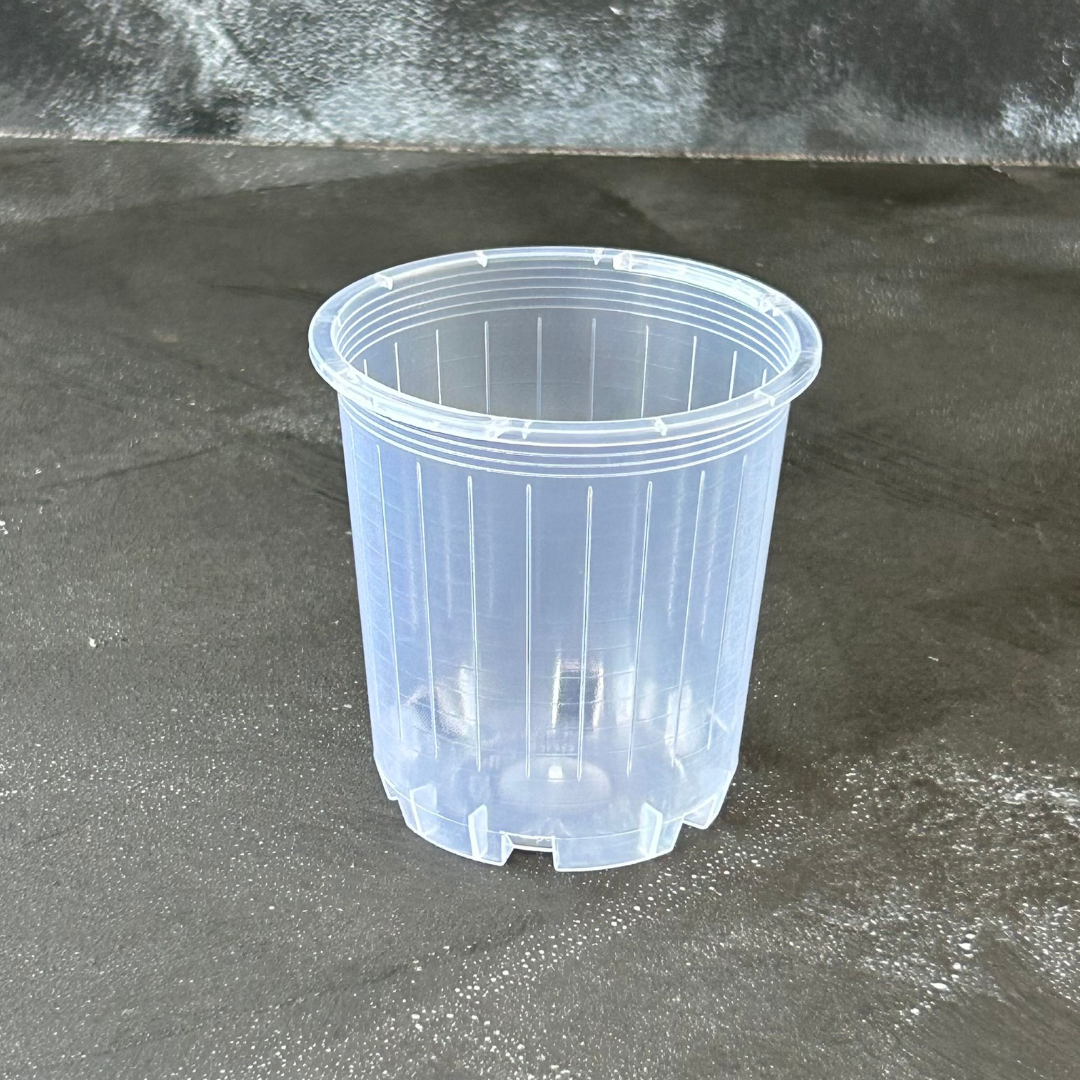 70mm Clear Nursery Pot for Indoor Plants like Aroids, Orchids, and Succulents.