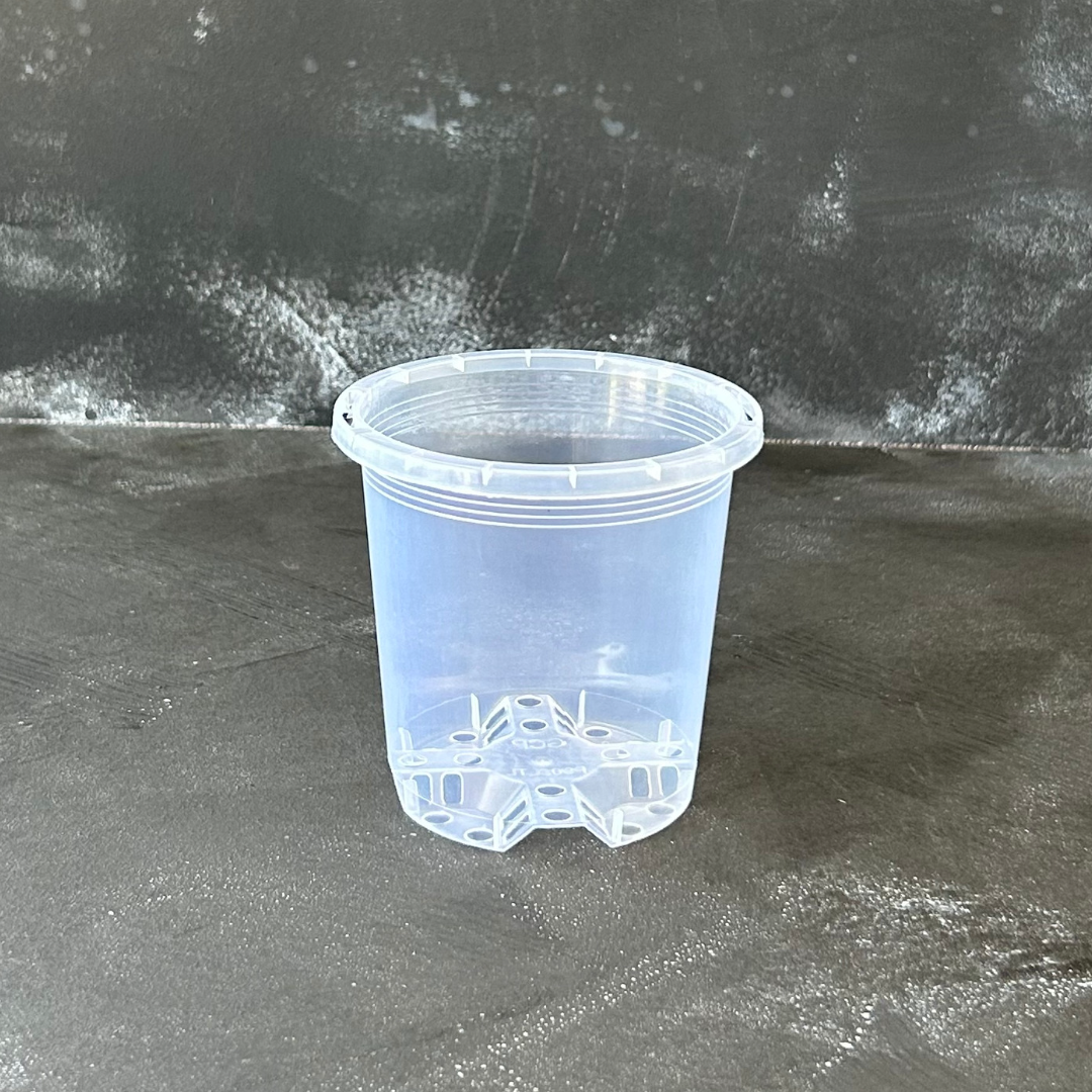 90mm Clear Nursery Pot for Indoor Plants like Aroids, Orchids, and Succulents.