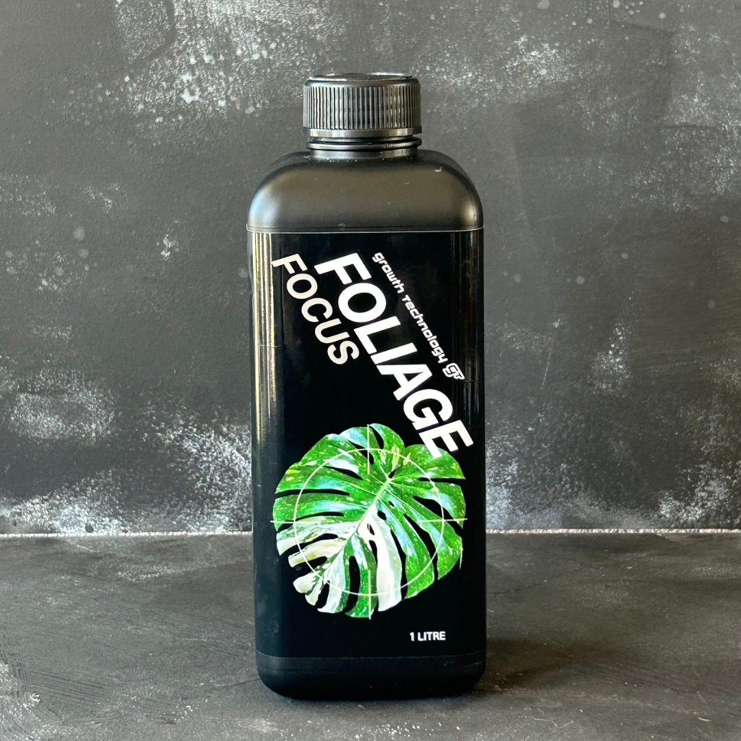 Foliage Focus 1L Nutrient Solution by Growth Technology. Made in Australia for indoor plants like monstera, syngonium, philodendron, and more. Seen on SydneyPlantGuy or TheLECAQueen.