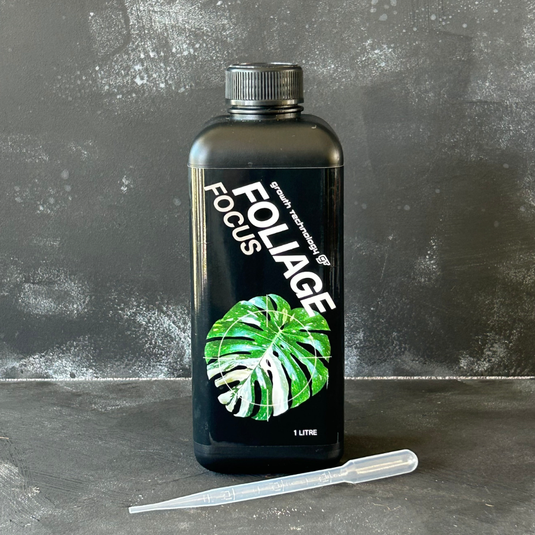 Foliage Focus 1L Nutrient Solution by Growth Technology. Made in Australia for indoor plants like monstera, syngonium, philodendron, and more. Seen on SydneyPlantGuy or TheLECAQueen.