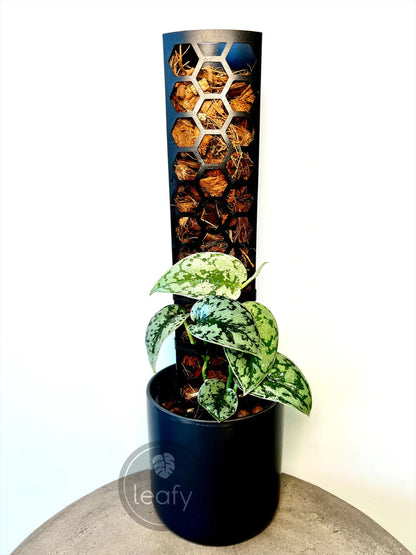 Leafy Moss Pole - Medium