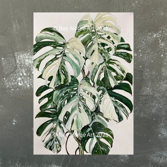 Monstera Albo A4 Print