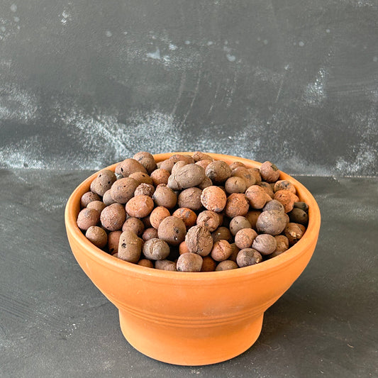 LECA (Hydroton Clay Balls)