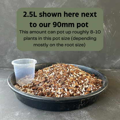 Repot & Grow Essentials Kit