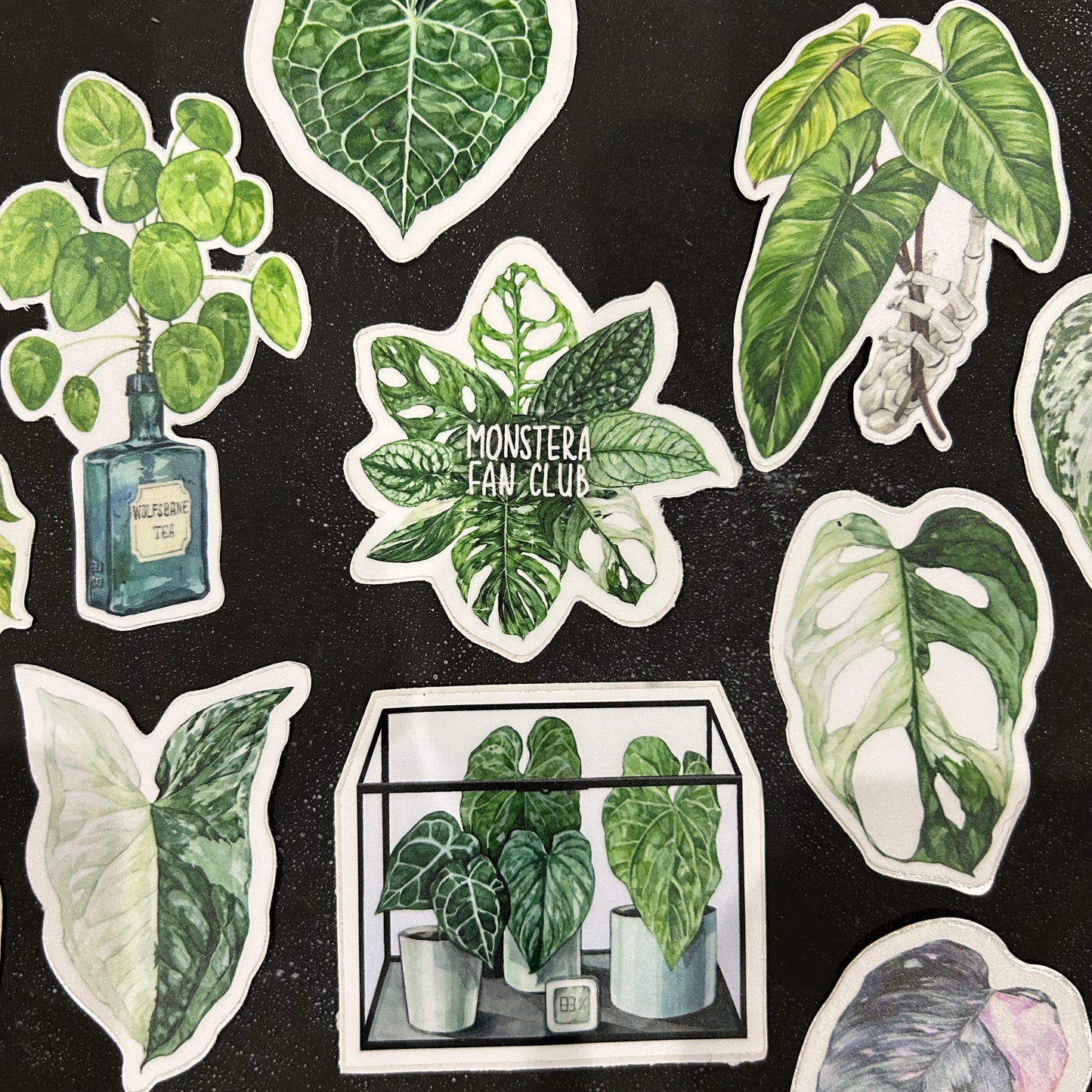 Plant Stickers by Arina Baeva