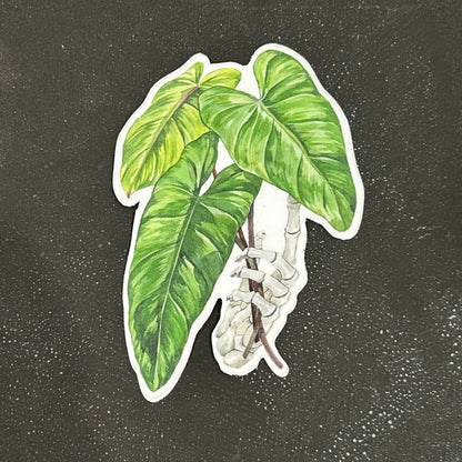 Plant Stickers by Arina Baeva