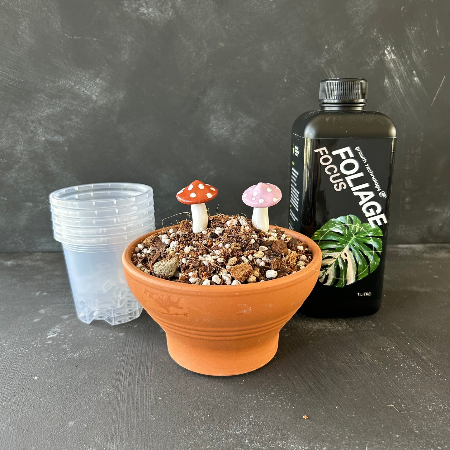 Repot & Grow Essentials Kit